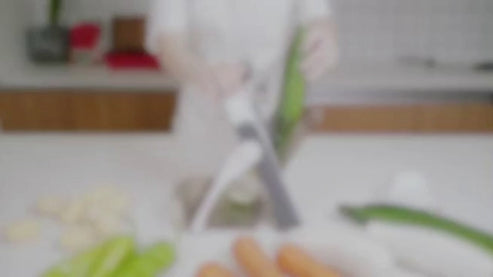 Manual Vegetable Cutter